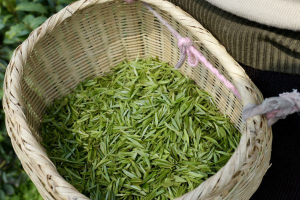 Bespoke Tea — Customize Your Signature Blend - Image 3